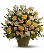 Teleflora's Rose Remembrance Teleflora's Rose Remembrance